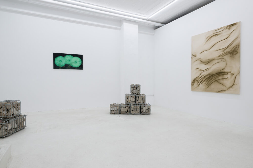 Grassroots, group show, JVDW gallery, Düsseldorf, Annabelle Agbo Godeau, Dennis Buck, Luca Calaras, Billie Clarken, Tom Król, Clara-Lane Lens, Arthur Löwen, Oliver Osborne, Victoria Pidust, Paola Siri Renard, Julien Saudubray, Sophie Vallance Cantor, Alina Vergnano, Mathias Weinfurter, David Benedikt Wirth, Malte Zenses.