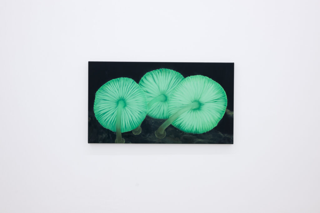 Glow - David Benedikt Wirth - oil on canvas - 45 x 80 cm - 2022 - Soloshow at JVDW gallery, Düsseldorf 2022