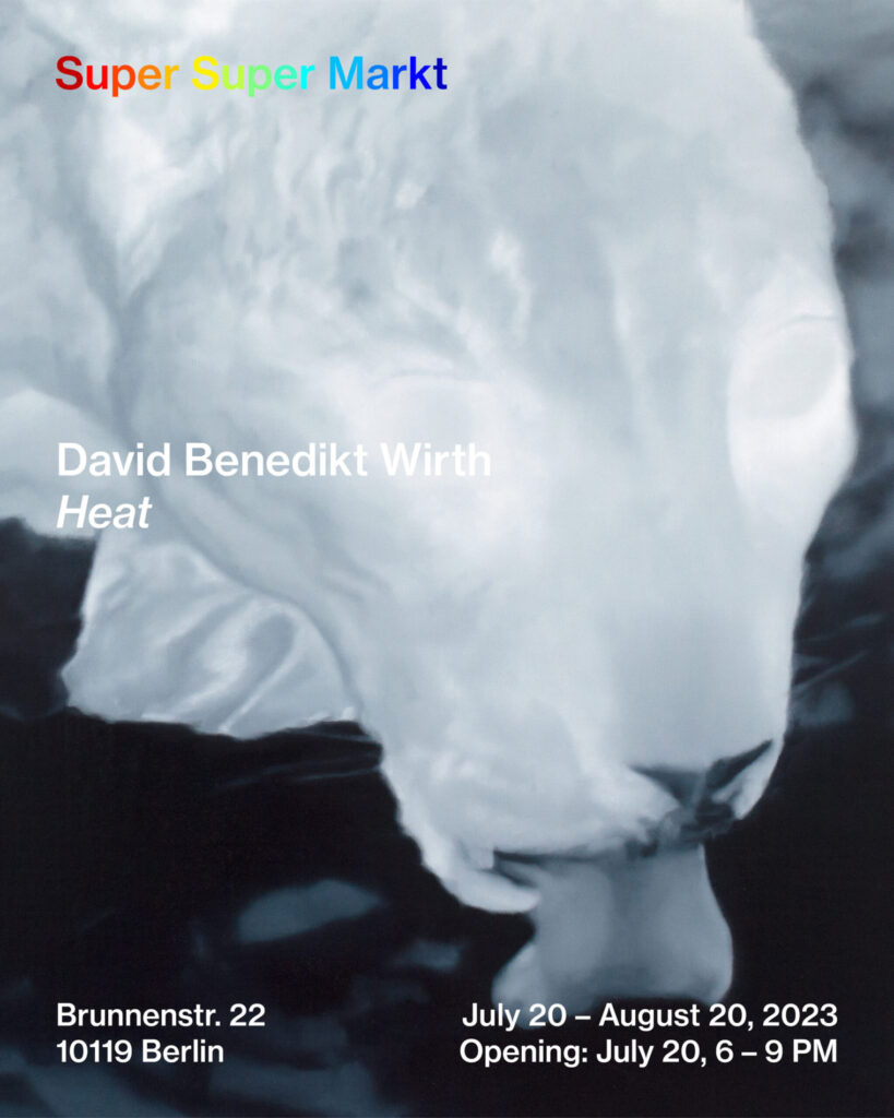 Heat - David Benedikt Wirth - Super Super Markt - Berlin 2023 - solo exhibition, Brunnenstr. 22